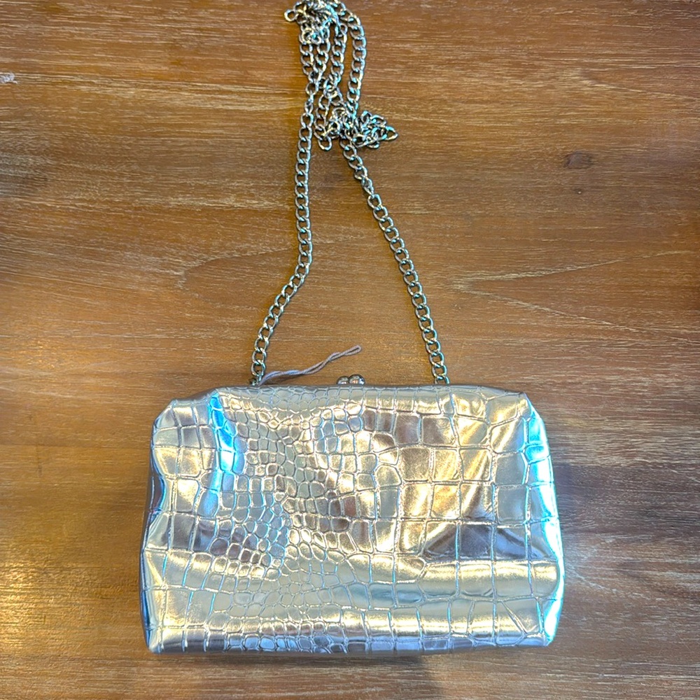 Silver purse